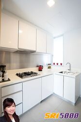 The Vermont On Cairnhill (D9), Apartment #380817051